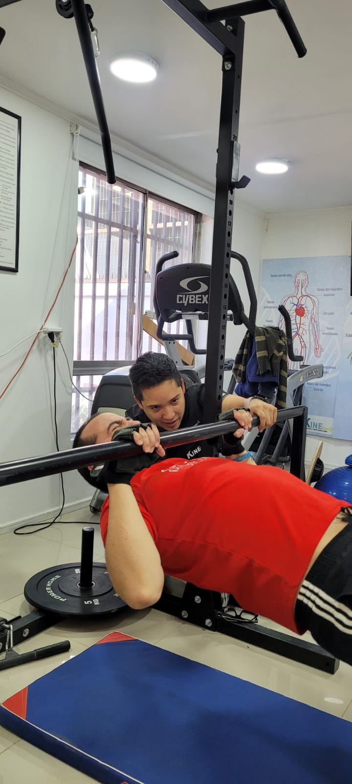 kinesiología integral neurologica